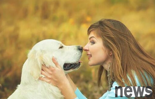 Age calculation: How old is a puppy one year old?