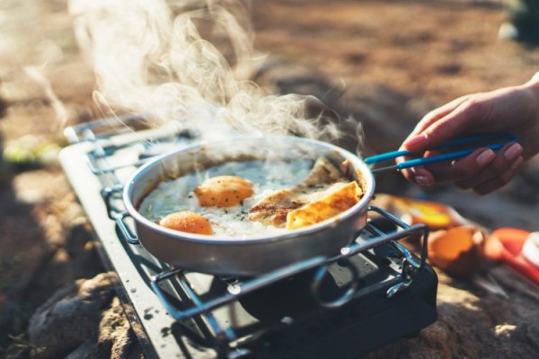 The picnic is being buzzed! Don t want food poisoning 5 tips to keep in mind