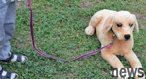 What should I do if the dog leash does not move?