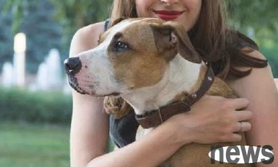 The 5 main manifestations of puppy being unhappy, the owner should know!