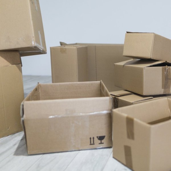 It s food and water. Stop the paper box at home and reduce the number of cockroaches that are out of place.