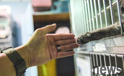 My boyfriend initially refused to keep a cat, but within three minutes of seeing it, he hugged the cat and refused to let go.