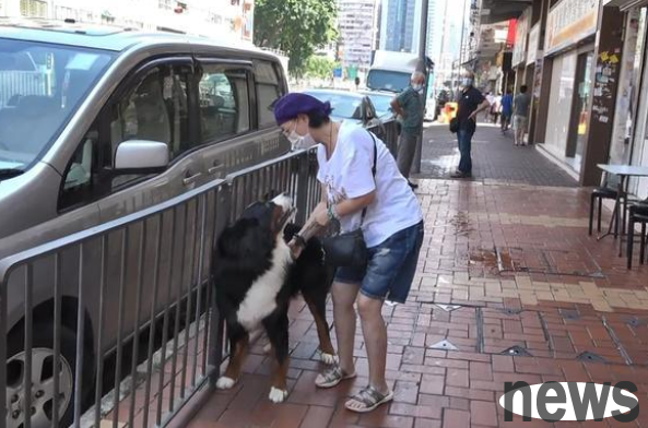 Yuan Qiongdan (Sister Pomegranate) had a stalemate with the big dog on the street. She couldn t hold her and drag her away. The scene was embarrassing and pitiful.